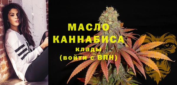 амф Каменногорск