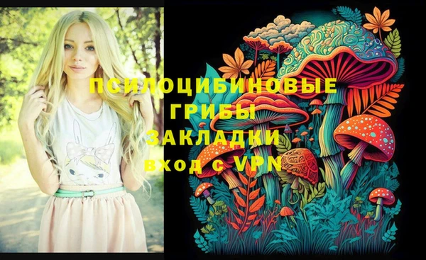 дурь Инсар