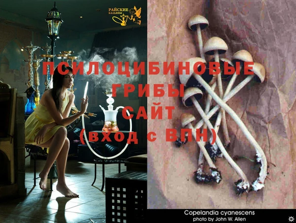 альфа пвп VHQ Иннополис