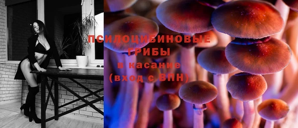 круглые Каменка